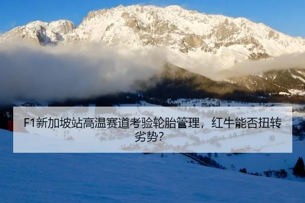 xin-jia-po-zhan-gao-wen-sai-dao-kao-yan-lun-tai-guan-li-hong-niu-neng-fou-niu-zhuan-lie-shi-2-355.jpg
