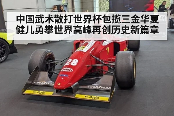 中国武术散打世界杯包揽三金华夏健儿勇攀世界高峰再创历史新篇章